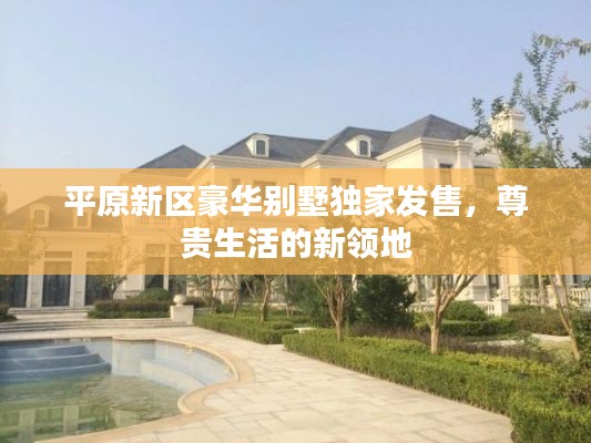 平原新区豪华别墅独家发售,尊贵生活的新领地
