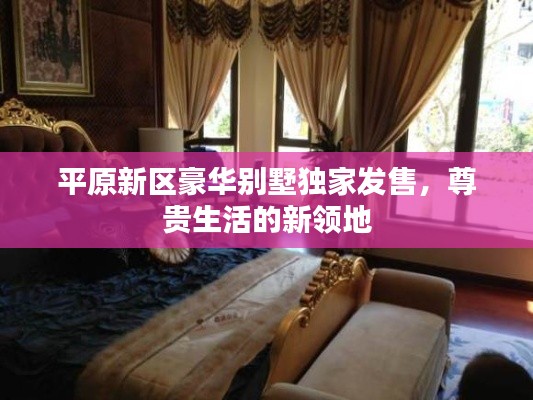平原新区豪华别墅独家发售,尊贵生活的新领地
