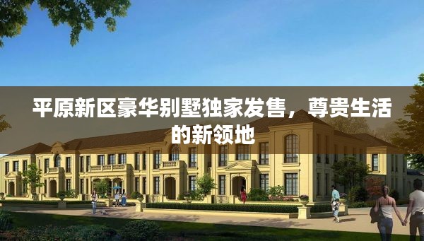 平原新区豪华别墅独家发售,尊贵生活的新领地