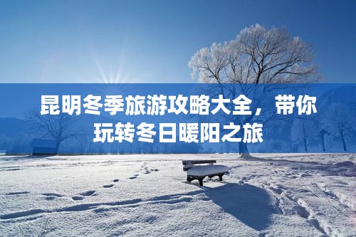 昆明冬季旅游攻略大全,带你玩转冬日暖阳之旅