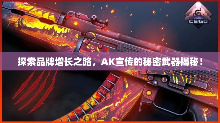 探索品牌增长之路,AK宣传的秘密武器揭秘!