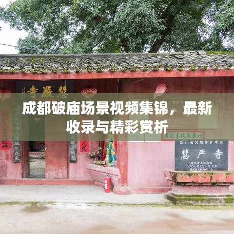 成都破庙场景视频集锦,最新收录与精彩赏析