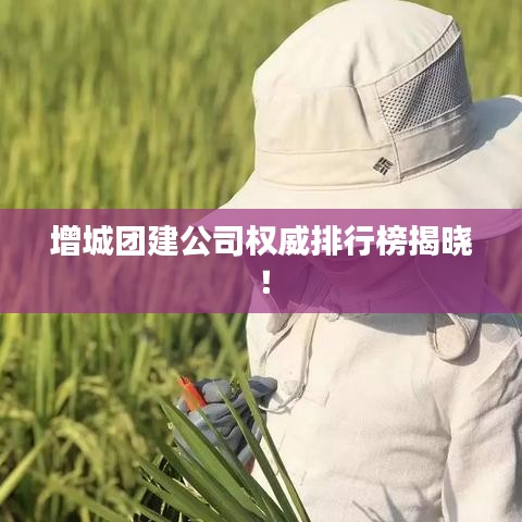 增城团建公司权威排行榜揭晓!