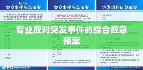 专业应对突发事件的综合应急预案