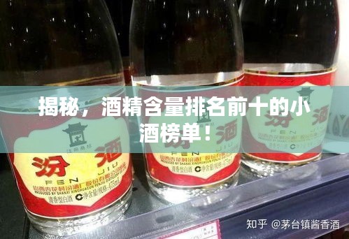 揭秘,酒精含量排名前十的小酒榜单!