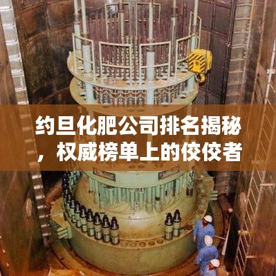 约旦化肥公司排名揭秘,权威榜单上的佼佼者!