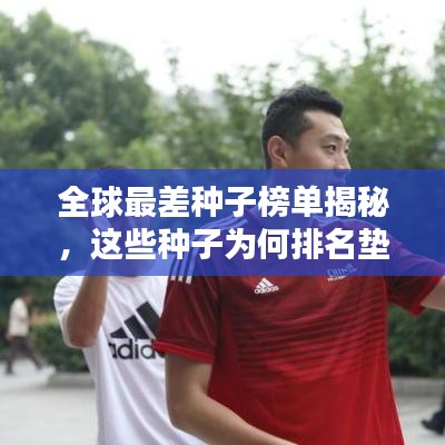 全球最差种子榜单揭秘,这些种子为何排名垫底?