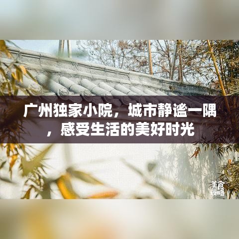 广州独家小院,城市静谧一隅,感受生活的美好时光