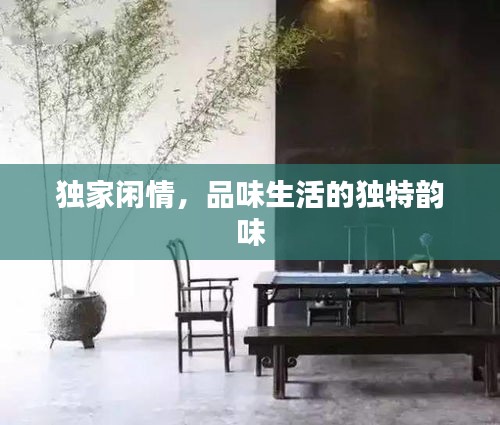 独家闲情,品味生活的独特韵味