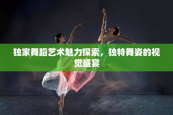 独家舞蹈艺术魅力探索,独特舞姿的视觉盛宴