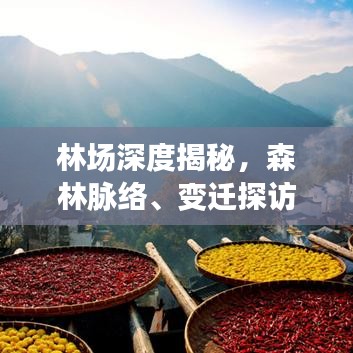 林场深度揭秘,森林脉络、变迁探访之旅