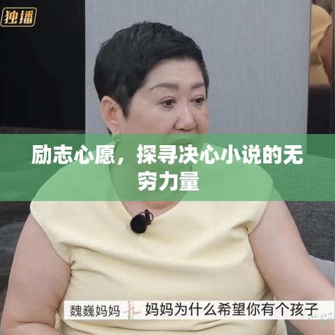 励志心愿,探寻决心小说的无穷力量