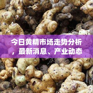 无影无踪 第4页