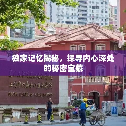 独家记忆揭秘,探寻内心深处的秘密宝藏