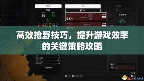 高效抢野技巧,提升游戏效率的关键策略攻略