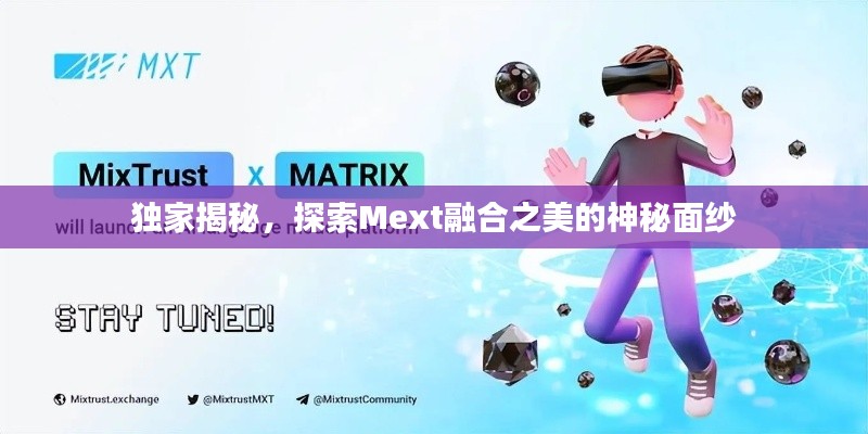 独家揭秘,探索Mext融合之美的神秘面纱