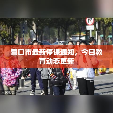 营口市最新停课通知,今日教育动态更新