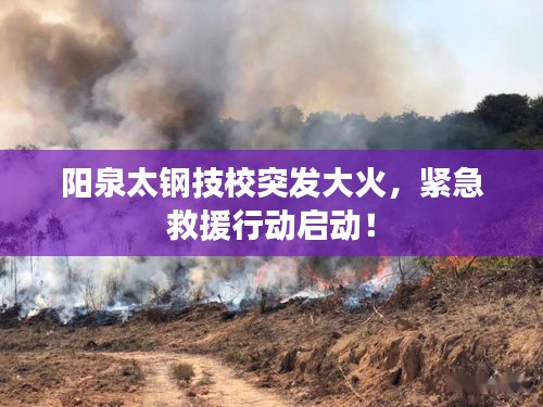 阳泉太钢技校突发大火,紧急救援行动启动!