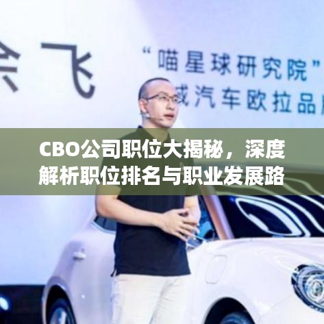 CBO公司职位大揭秘,深度解析职位排名与职业发展路径