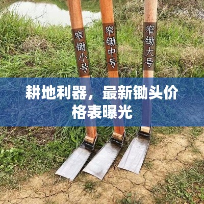 耕地利器,最新锄头价格表曝光