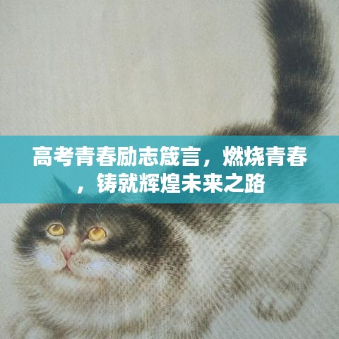 高考青春励志箴言,燃烧青春,铸就辉煌未来之路