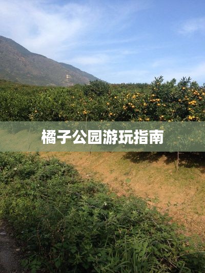橘子公园游玩指南