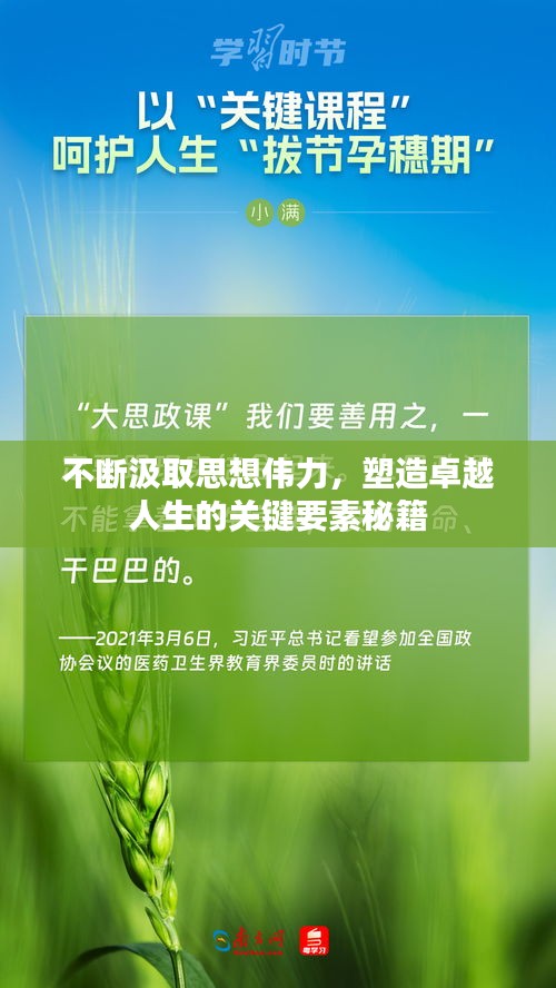 不断汲取思想伟力,塑造卓越人生的关键要素秘籍