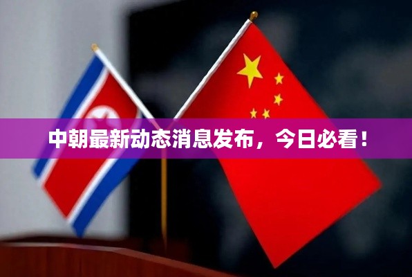 不知不觉 第3页