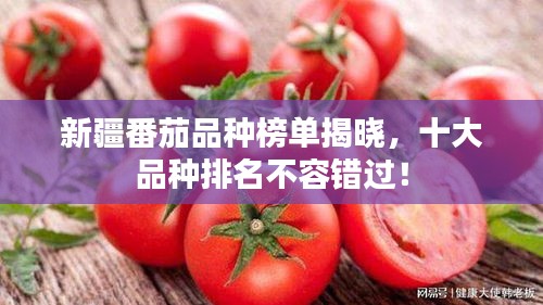 新疆番茄品种榜单揭晓,十大品种排名不容错过!