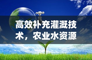 高效补充灌溉技术,农业水资源管理的创新之道