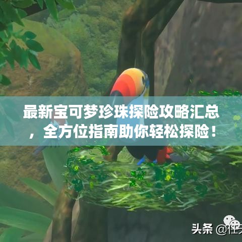 最新宝可梦珍珠探险攻略汇总,全方位指南助你轻松探险!