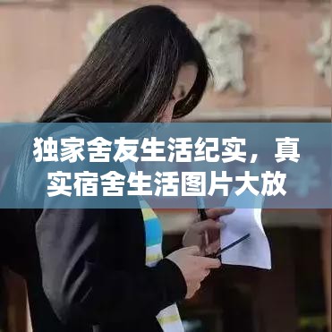 计日程功 第3页
