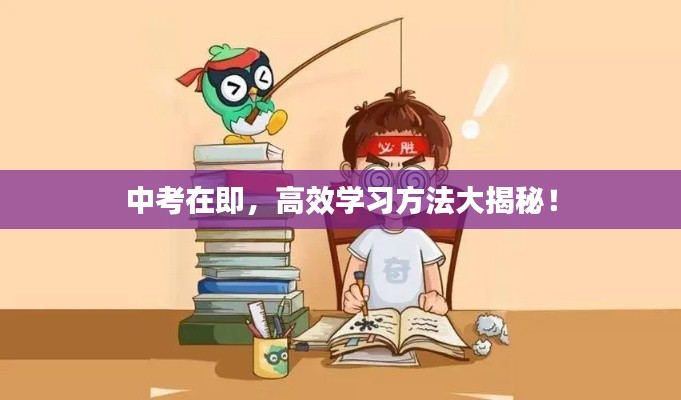 中考在即,高效学习方法大揭秘!