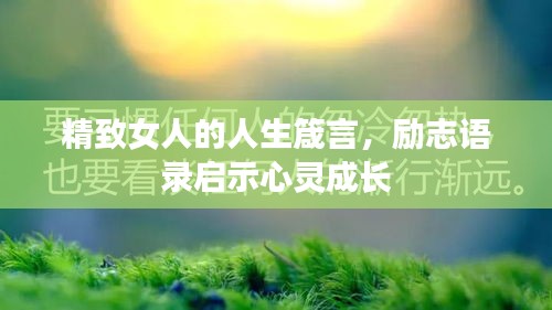精致女人的人生箴言,励志语录启示心灵成长