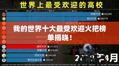 我的世界十大最受欢迎火把榜单揭晓!