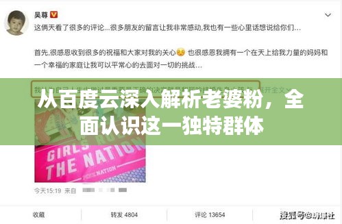 从百度云深入解析老婆粉,全面认识这一独特群体