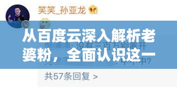 从百度云深入解析老婆粉,全面认识这一独特群体