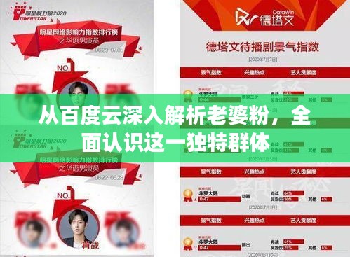 从百度云深入解析老婆粉,全面认识这一独特群体