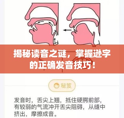 揭秘读音之谜,掌握逊字的正确发音技巧!