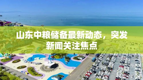山东中粮储备最新动态,突发新闻关注焦点