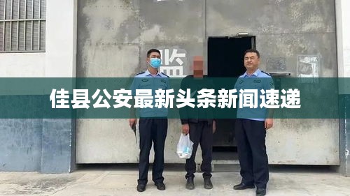 佳县公安最新头条新闻速递