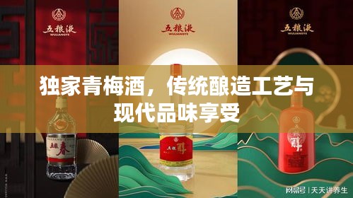 独家青梅酒,传统酿造工艺与现代品味享受