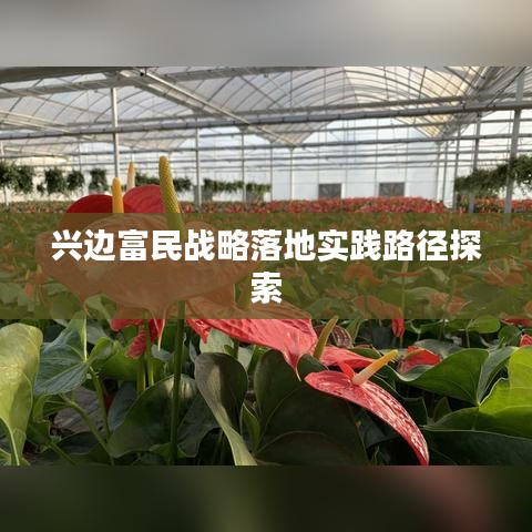兴边富民战略落地实践路径探索