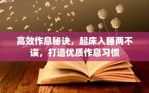 高效作息秘诀,起床入睡两不误,打造优质作息习惯