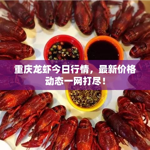重庆龙虾今日行情,最新价格动态一网打尽!