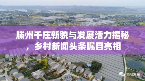 滕州千庄新貌与发展活力揭秘,乡村新闻头条瞩目亮相