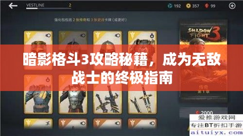 暗影格斗3攻略秘籍,成为无敌战士的终极指南