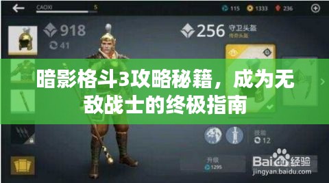 暗影格斗3攻略秘籍,成为无敌战士的终极指南