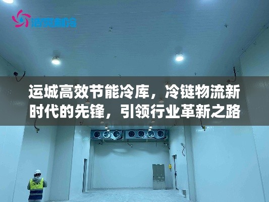 运城高效节能冷库,冷链物流新时代的先锋,引领行业革新之路