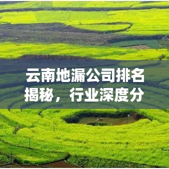云南地漏公司排名揭秘,行业深度分析与趋势预测